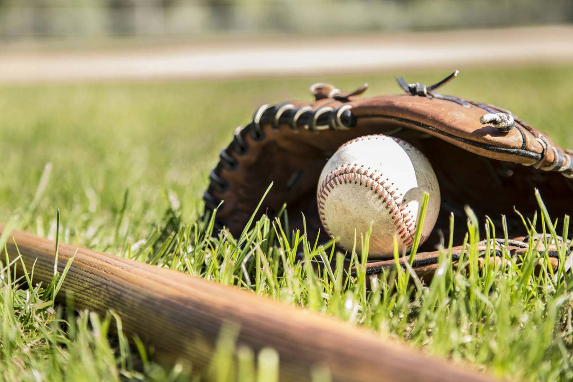 Baseball Glove & Bat